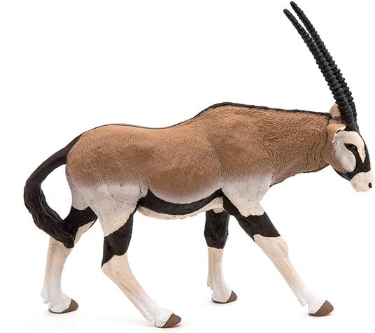 Antelope Oryx - 6