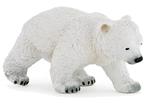 Baby orso polare che cammina