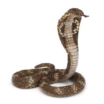 Cobra Reale