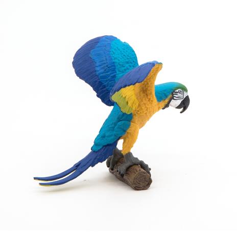 pappagallo ara blu - 4