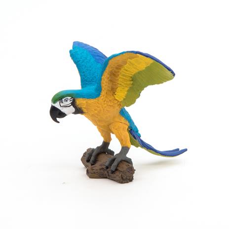 pappagallo ara blu - 7