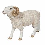 Ariete