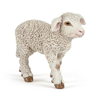 Agnello Merinos