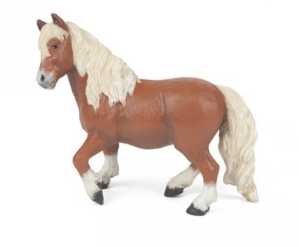 Pony Shetland