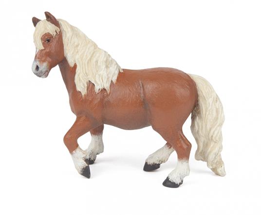 Pony Shetland