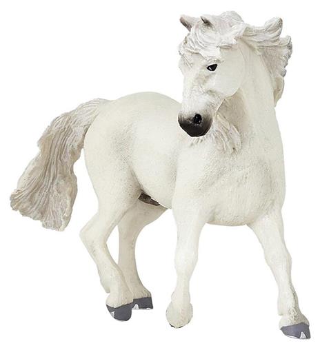 Cavallo della camargue