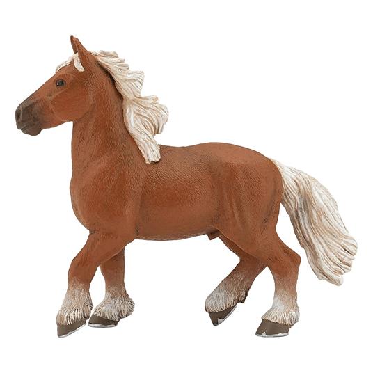 Cavallo Comtois