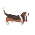 Basset hound
