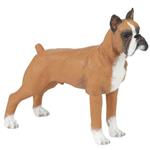 Boxer