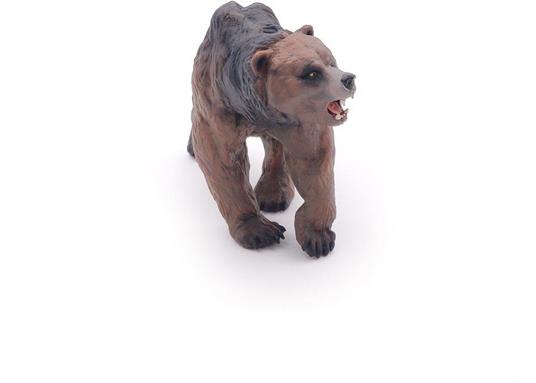 Orso della caverna - 4