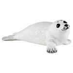 Bebè foca