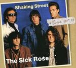 Shaking Street-Double