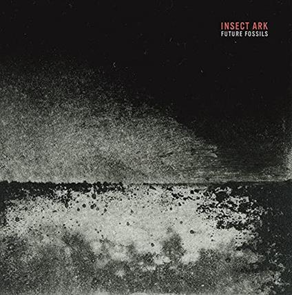 Future Fossils - Vinile LP di Insect Ark