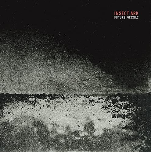Future Fossils - Vinile LP di Insect Ark