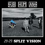 29.29 Split Vision