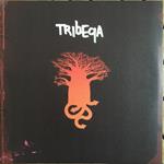 Tribeqa
