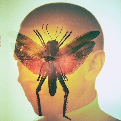 Rhizome - Vinile LP di Maelstrom