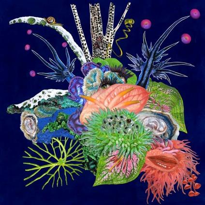 Touche - CD Audio di O'o