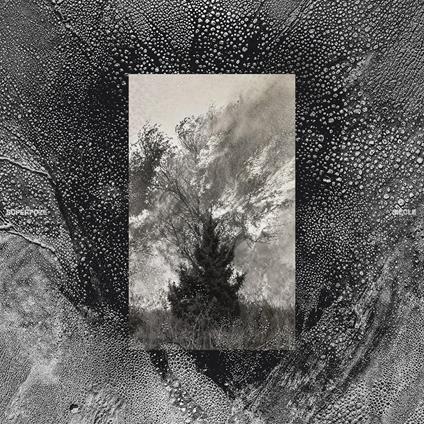 Siecle - CD Audio di Superpoze