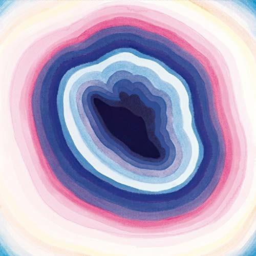 L'appel de la foret - Vinile LP di Julien Gasc