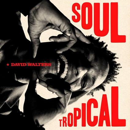 Soul Tropical - Vinile LP di David Walters