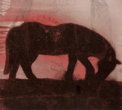 Legends of the Fall - CD Audio di Philippe Mouratoglou