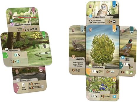 Forest Shuffle: Dartmoor. Gioco da tavolo - 3