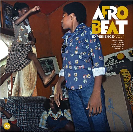 Afrobeat Experience Vol.1 - Vinile LP
