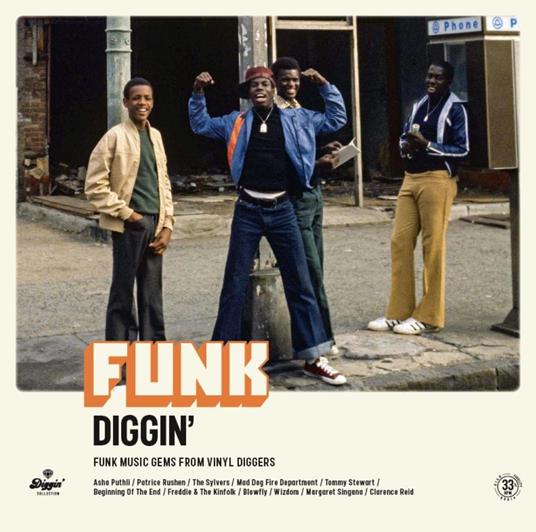 Funk Diggin': Funk Music Gems From Vinyl Diggers - Vinile LP