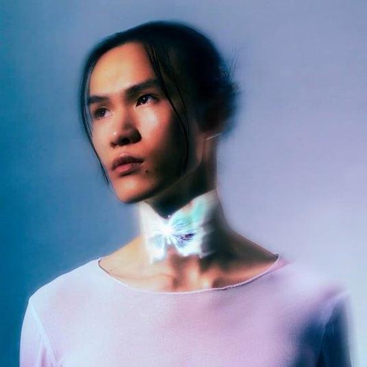 La Loi Du Papillon - CD Audio di Nuit Incolore