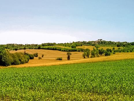 SMARTBOX - 3 giorni nel sole della Toscana - Cofanetto regalo - 14