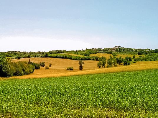 SMARTBOX - 3 giorni nel sole della Toscana - Cofanetto regalo - 14