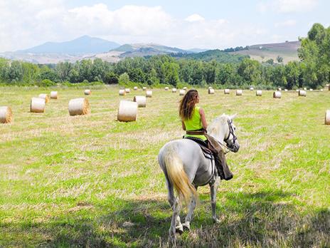 SMARTBOX - In sella con gusto: 1 rilassante passeggiata a cavallo con picnic per 2 persone - Cofanetto regalo - 7