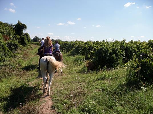 SMARTBOX - A spasso per la Maremma in sella: 1 passeggiata a cavallo per 4 persone - Cofanetto regalo - 7