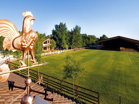 Raffinata cena di 6 portate presso il rinomato Agriturismo al Segnavento in Veneto - 7