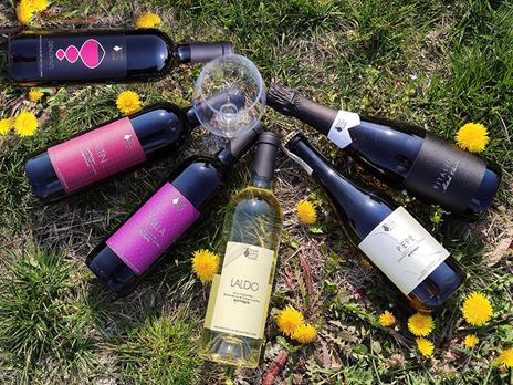 SMARTBOX - Tenuta Rita Solari: 6 pregiate bottiglie di vino con consegna a domicilio - Cofanetto regalo - 7