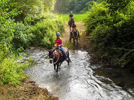 SMARTBOX - Tutti in sella in Toscana: passeggiata a cavallo di 1h con lezione introduttiva per 4 - Cofanetto regalo - 5