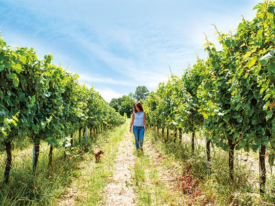 SMARTBOX - Magia ed enologia: raffinate degustazioni di vino per 2 - Cofanetto regalo - 11