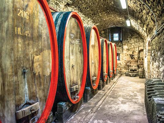 SMARTBOX - Buon Natale! 1 sfiziosa degustazione per 2 buongustai in strutture stellate - Cofanetto regalo - 7