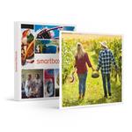 SMARTBOX - Sogni stellati in Toscana: 2 magiche notti con cena in lussuosi hotel 4* - Cofanetto regalo