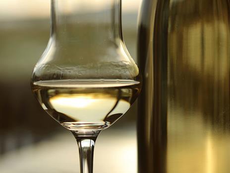 SMARTBOX - Brindisi a casa: 1 bottiglia di grappa, 1 di amaro e 2 calici da degustazione a domicilio - Cofanetto regalo - 6