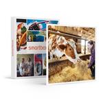 SMARTBOX - Nella vecchia fattoria: attività con gli animali con degustazione per 2 adulti e 2 bambini - Cofanetto regalo