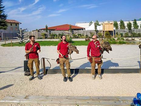 SMARTBOX - Esperienza di falconeria con spettacolo e visita ai rapaci a Cividale del Friuli - Cofanetto regalo - 5