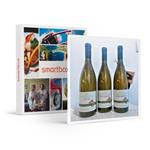 SMARTBOX - Pregiati bianchi Aroma Wine Bar Enoteca: 3 bottiglie di vino con consegna a domicilio - Cofanetto regalo