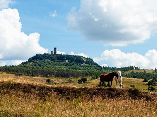 SMARTBOX - Passeggiata a cavallo con partenza da Siena - Cofanetto regalo - 4