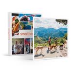 SMARTBOX - Tra il verde e gli alpaca: una divertente attività di famiglia in Trentino Alto Adige - Cofanetto regalo