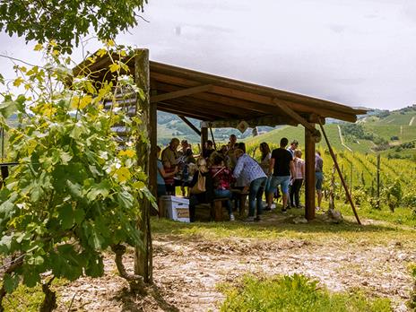 SMARTBOX - Degustazione e visita alle cantine con 2 bottiglie omaggio - Cofanetto regalo - 3