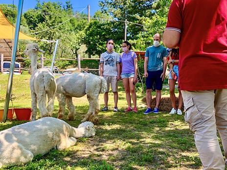 SMARTBOX - Picnic con gli alpaca in Toscana - Cofanetto regalo - 4