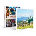 SMARTBOX - Visita agli alpaca in famiglia: picnic e souvenir per 2 adulti e 1 bambino - Cofanetto regalo