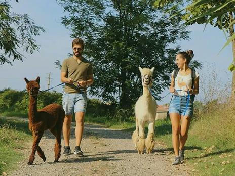 SMARTBOX - A spasso con gli alpaca: slow trekking in una fattoria per 2 adulti e 1 bambino - Cofanetto regalo - 4
